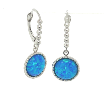 14k Yellow Gold Opal Dangle Leverback Earrings with Opal