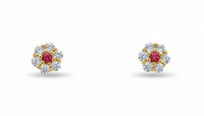 14K Yellow Gold Flower Shaped  Screw Back Stud Earrings for Women