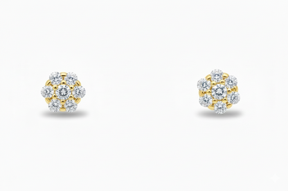 14K Yellow Gold Flower Shaped  Screw Back Stud Earrings for Women