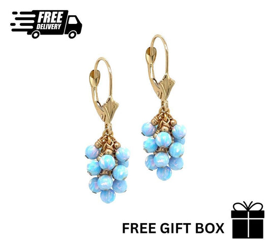 14k Yellow Gold Dangle Light Blue Opal Grape Leverback Earrings